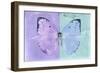 Miss Butterfly Catopsilia - Mauve & Turquoise-Philippe Hugonnard-Framed Photographic Print