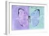 Miss Butterfly Catopsilia - Mauve & Turquoise-Philippe Hugonnard-Framed Photographic Print