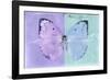 Miss Butterfly Catopsilia - Mauve & Turquoise-Philippe Hugonnard-Framed Photographic Print