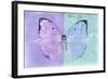 Miss Butterfly Catopsilia - Mauve & Turquoise-Philippe Hugonnard-Framed Photographic Print