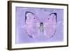 Miss Butterfly Catopsilia - Mauve-Philippe Hugonnard-Framed Photographic Print