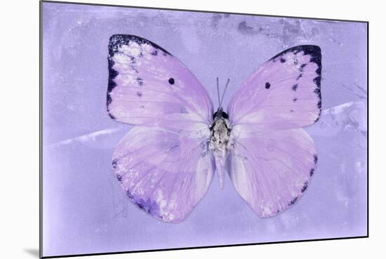 Miss Butterfly Catopsilia - Mauve-Philippe Hugonnard-Mounted Photographic Print