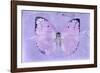 Miss Butterfly Catopsilia - Mauve-Philippe Hugonnard-Framed Photographic Print