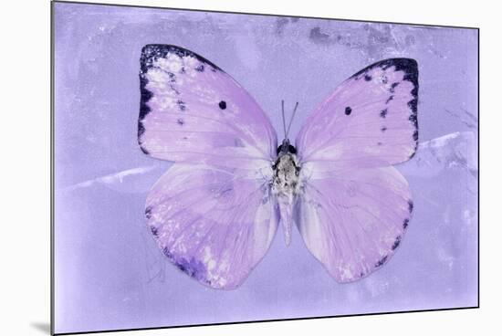 Miss Butterfly Catopsilia - Mauve-Philippe Hugonnard-Mounted Photographic Print