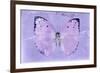 Miss Butterfly Catopsilia - Mauve-Philippe Hugonnard-Framed Photographic Print