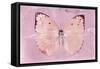 Miss Butterfly Catopsilia - Pale Violet-Philippe Hugonnard-Framed Stretched Canvas
