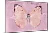 Miss Butterfly Catopsilia - Pale Violet-Philippe Hugonnard-Mounted Photographic Print