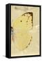 Miss Butterfly Catopsilia Profil - Gold-Philippe Hugonnard-Framed Stretched Canvas