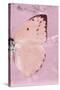 Miss Butterfly Catopsilia Profil - Pale Violet-Philippe Hugonnard-Stretched Canvas