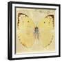 Miss Butterfly Catopsilia Sq - Gold-Philippe Hugonnard-Framed Photographic Print