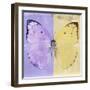 Miss Butterfly Catopsilia Sq - Mauve & Gold-Philippe Hugonnard-Framed Photographic Print