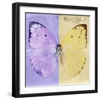 Miss Butterfly Catopsilia Sq - Mauve & Gold-Philippe Hugonnard-Framed Photographic Print