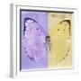 Miss Butterfly Catopsilia Sq - Mauve & Gold-Philippe Hugonnard-Framed Photographic Print