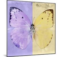 Miss Butterfly Catopsilia Sq - Mauve & Gold-Philippe Hugonnard-Mounted Photographic Print
