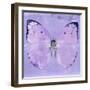 Miss Butterfly Catopsilia Sq - Mauve-Philippe Hugonnard-Framed Photographic Print