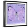 Miss Butterfly Catopsilia Sq - Mauve-Philippe Hugonnard-Framed Photographic Print