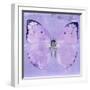 Miss Butterfly Catopsilia Sq - Mauve-Philippe Hugonnard-Framed Photographic Print