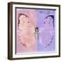 Miss Butterfly Catopsilia Sq - Pale Violet & Mauve-Philippe Hugonnard-Framed Photographic Print