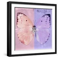 Miss Butterfly Catopsilia Sq - Pale Violet & Mauve-Philippe Hugonnard-Framed Photographic Print