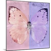 Miss Butterfly Catopsilia Sq - Pale Violet & Mauve-Philippe Hugonnard-Mounted Photographic Print