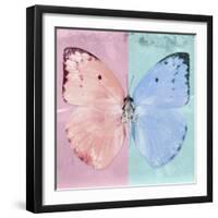 Miss Butterfly Catopsilia Sq - Pale Violet & Turquoise-Philippe Hugonnard-Framed Photographic Print