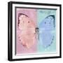 Miss Butterfly Catopsilia Sq - Pale Violet & Turquoise-Philippe Hugonnard-Framed Photographic Print