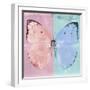 Miss Butterfly Catopsilia Sq - Pale Violet & Turquoise-Philippe Hugonnard-Framed Photographic Print