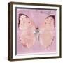 Miss Butterfly Catopsilia Sq - Pale Violet-Philippe Hugonnard-Framed Photographic Print