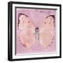 Miss Butterfly Catopsilia Sq - Pale Violet-Philippe Hugonnard-Framed Photographic Print