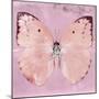 Miss Butterfly Catopsilia Sq - Pale Violet-Philippe Hugonnard-Mounted Photographic Print