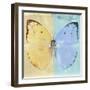 Miss Butterfly Catopsilia Sq - Turquoise & Gold-Philippe Hugonnard-Framed Photographic Print