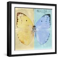 Miss Butterfly Catopsilia Sq - Turquoise & Gold-Philippe Hugonnard-Framed Photographic Print