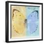Miss Butterfly Catopsilia Sq - Turquoise & Gold-Philippe Hugonnard-Framed Photographic Print