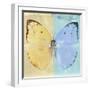 Miss Butterfly Catopsilia Sq - Turquoise & Gold-Philippe Hugonnard-Framed Photographic Print