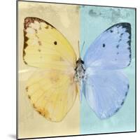Miss Butterfly Catopsilia Sq - Turquoise & Gold-Philippe Hugonnard-Mounted Photographic Print