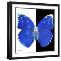 Miss Butterfly Catopsilia Sq - X-Ray B&W Edition-Philippe Hugonnard-Framed Photographic Print