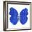 Miss Butterfly Catopsilia Sq - X-Ray White Edition-Philippe Hugonnard-Framed Photographic Print