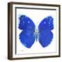 Miss Butterfly Catopsilia Sq - X-Ray White Edition-Philippe Hugonnard-Framed Photographic Print