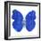 Miss Butterfly Catopsilia Sq - X-Ray White Edition-Philippe Hugonnard-Framed Photographic Print