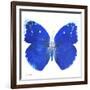 Miss Butterfly Catopsilia Sq - X-Ray White Edition-Philippe Hugonnard-Framed Photographic Print