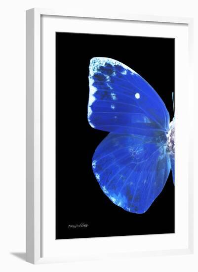 Miss Butterfly Catopsilia - X-Ray Left Black Edition-Philippe Hugonnard-Framed Photographic Print