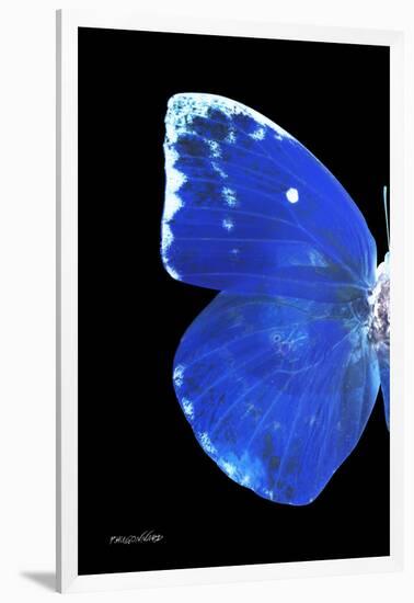 Miss Butterfly Catopsilia - X-Ray Left Black Edition-Philippe Hugonnard-Framed Photographic Print