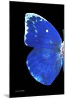 Miss Butterfly Catopsilia - X-Ray Left Black Edition-Philippe Hugonnard-Mounted Premium Photographic Print