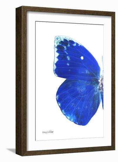 Miss Butterfly Catopsilia - X-Ray Left White Edition-Philippe Hugonnard-Framed Photographic Print