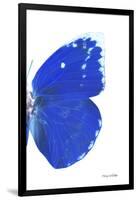 Miss Butterfly Catopsilia - X-Ray Right White Edition-Philippe Hugonnard-Framed Photographic Print