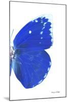 Miss Butterfly Catopsilia - X-Ray Right White Edition-Philippe Hugonnard-Mounted Premium Photographic Print