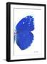 Miss Butterfly Catopsilia - X-Ray Right White Edition-Philippe Hugonnard-Framed Photographic Print