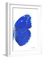 Miss Butterfly Catopsilia - X-Ray Right White Edition-Philippe Hugonnard-Framed Photographic Print