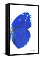 Miss Butterfly Catopsilia - X-Ray Right White Edition-Philippe Hugonnard-Framed Stretched Canvas