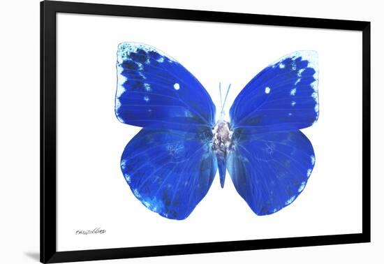 Miss Butterfly Catopsilia - X-Ray White Edition-Philippe Hugonnard-Framed Photographic Print